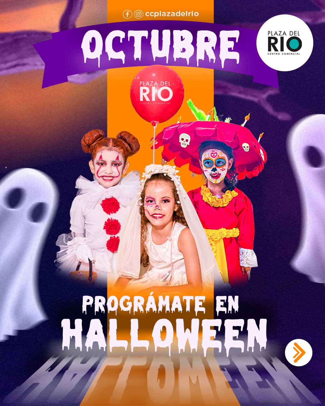 Pagina-web_01