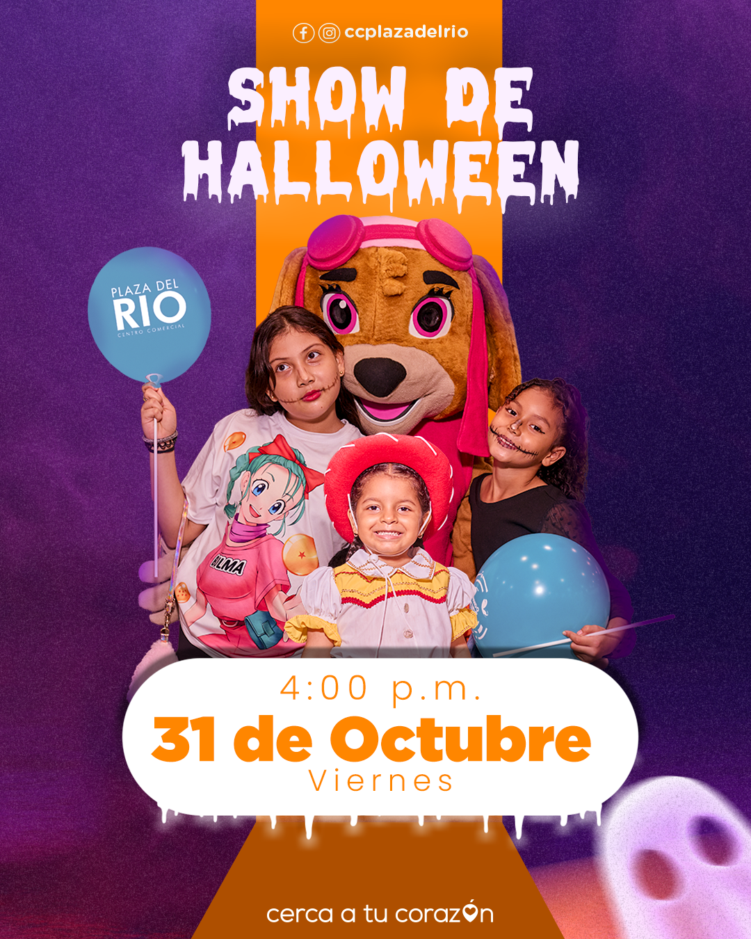 Pagina-web_03