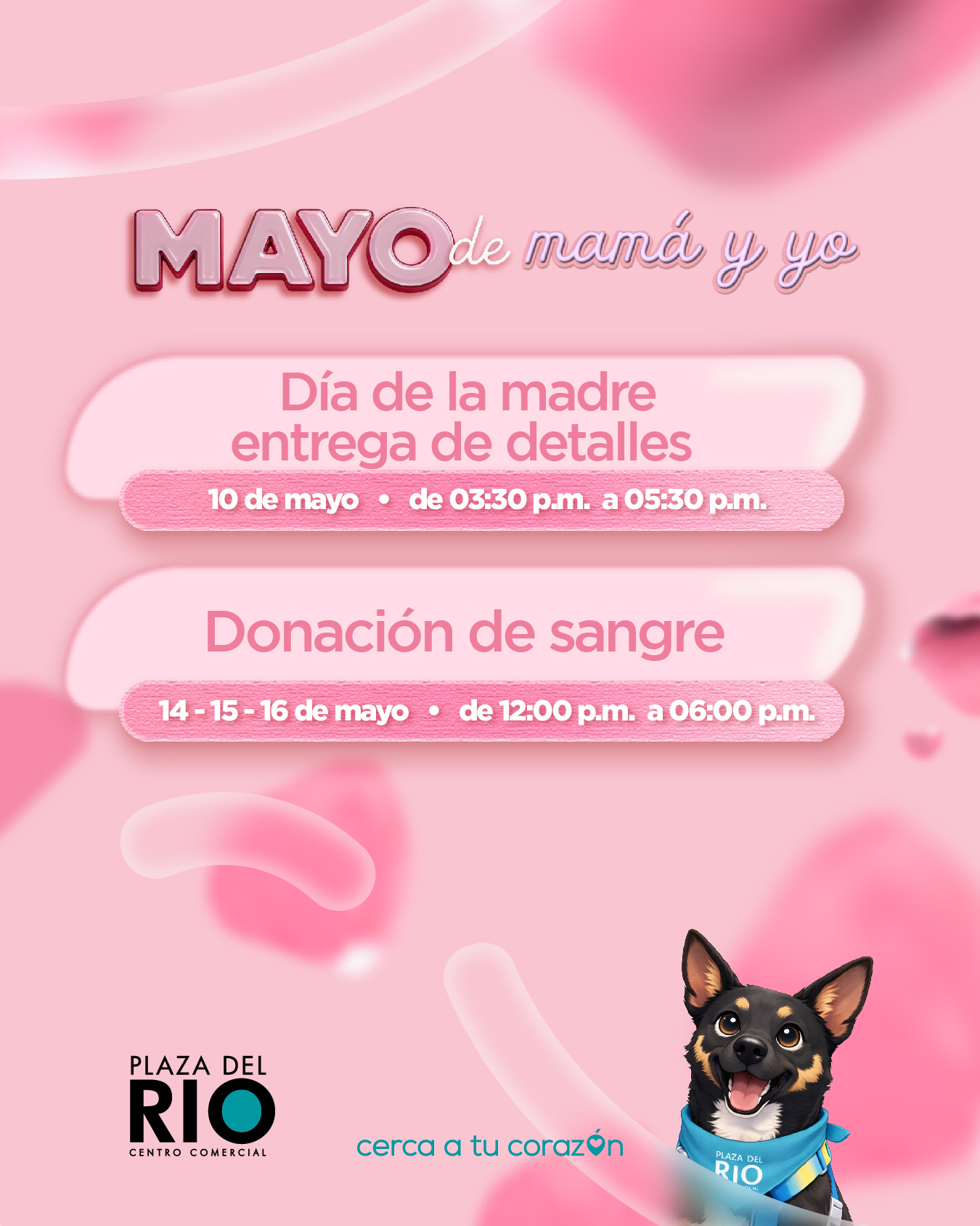 Agenda-Mayo.jpg